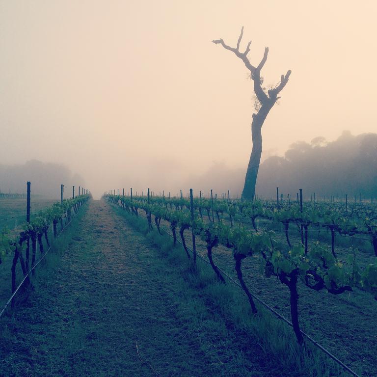 Island Brook Estate Winery And Chalets Margaret River Dış mekan fotoğraf
