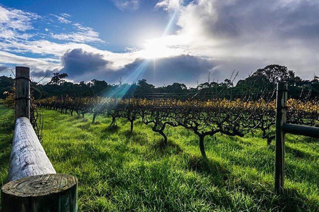Island Brook Estate Winery And Chalets Margaret River Dış mekan fotoğraf
