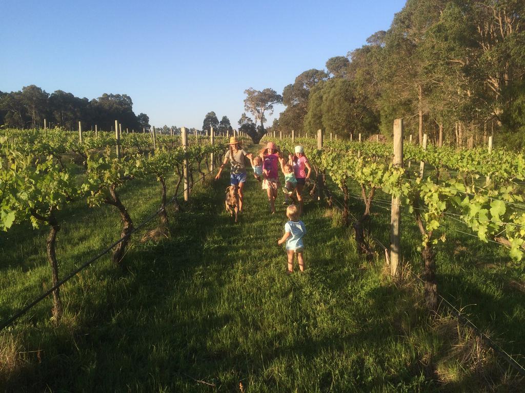 Island Brook Estate Winery And Chalets Margaret River Dış mekan fotoğraf