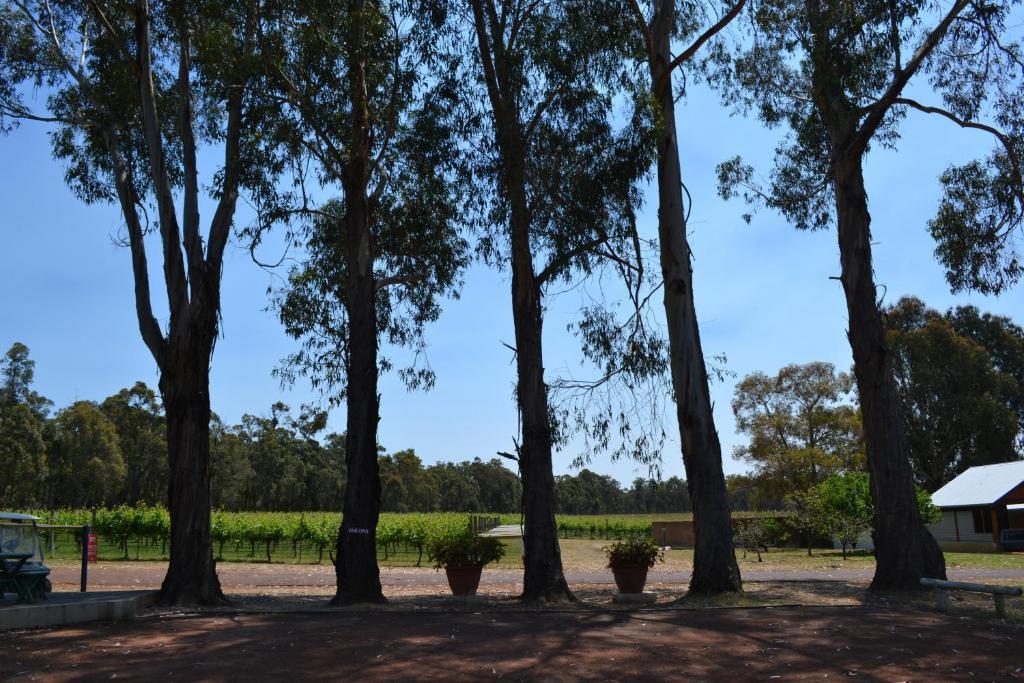Island Brook Estate Winery And Chalets Margaret River Dış mekan fotoğraf